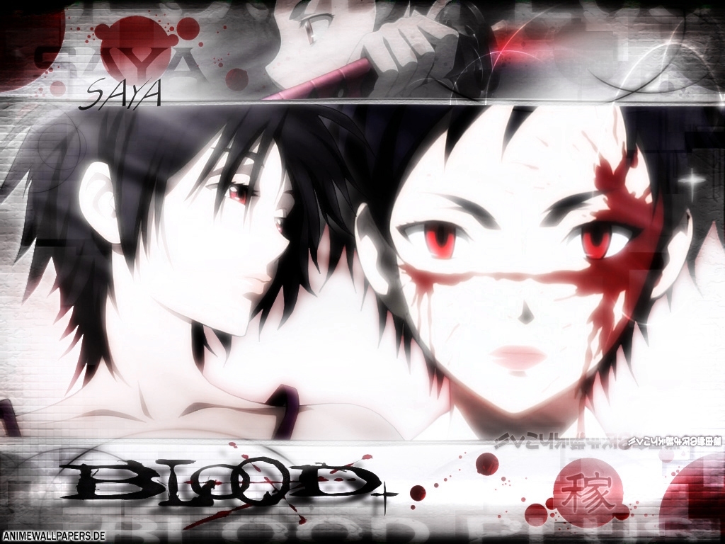 Blood+ - Saya 2.jpg
