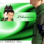 Shikamaru copia3.jpg