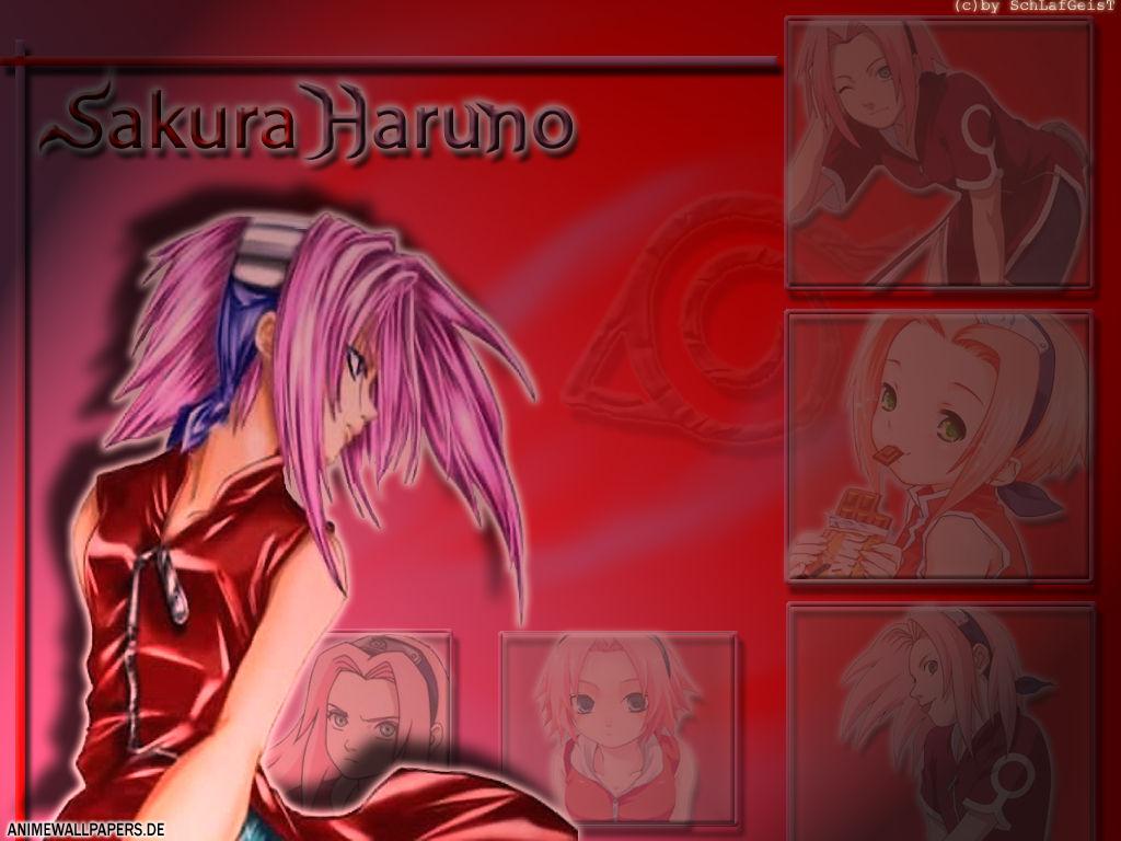 normal_sakura haruno.jpg