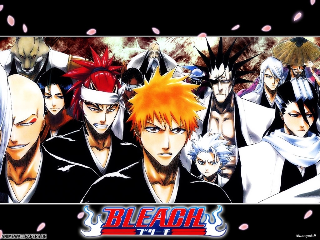 Bleach - group 1.jpg