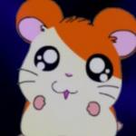 Hamtaro