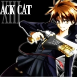 Black Cat - Train 1.jpg