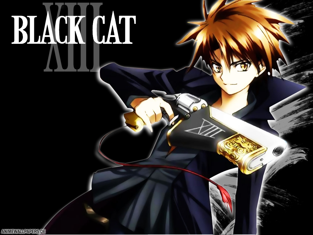 Black Cat - Train 1.jpg
