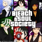 Bleach - Soul Society cover.jpg